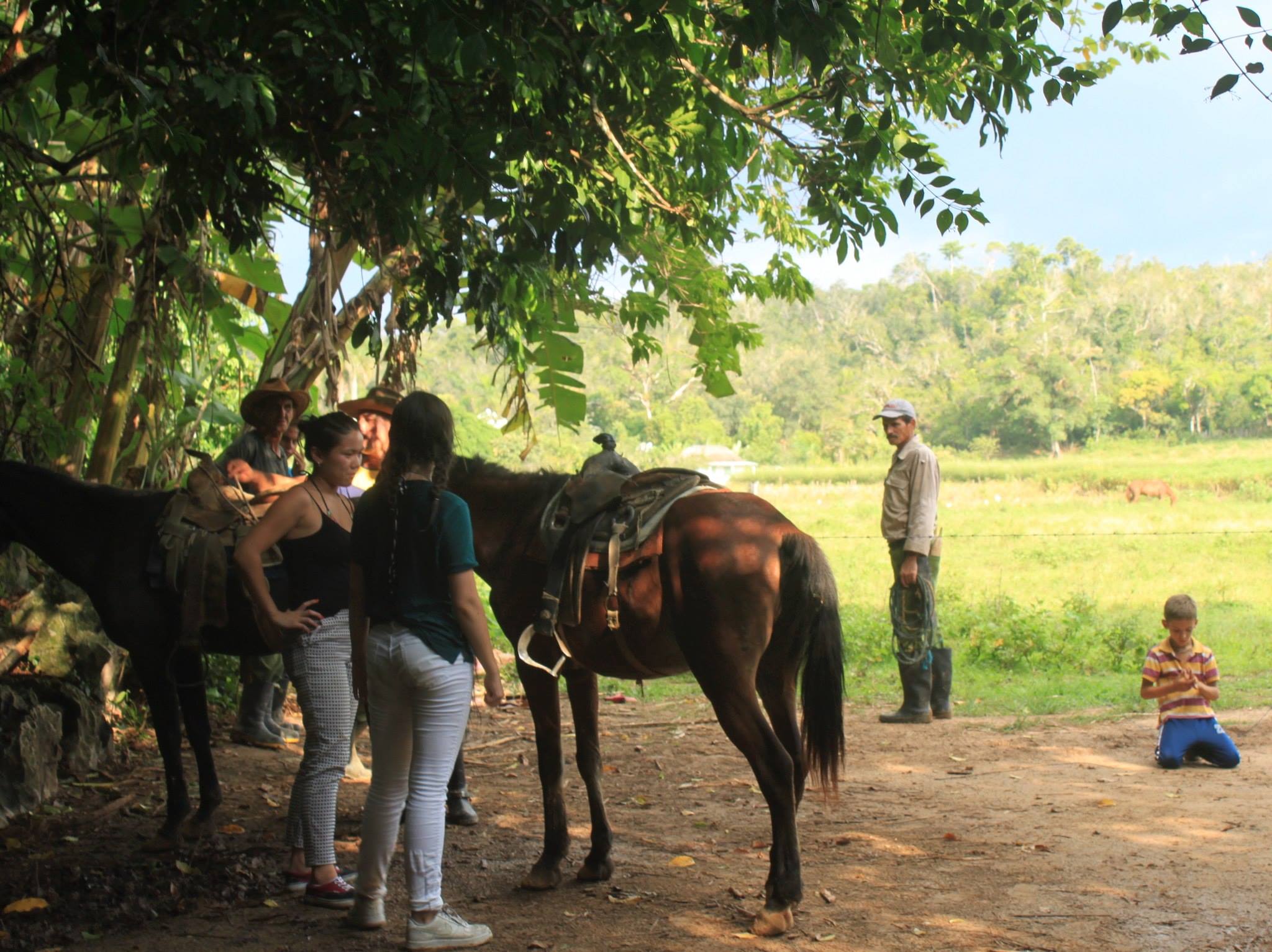 Cuba, 2014