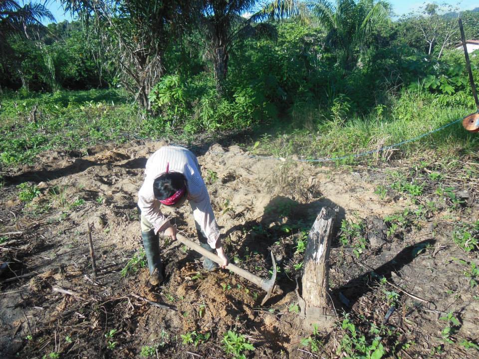 Construction work as a volunteer, Amazon rainforest