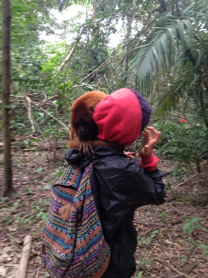 Getting ambushed on the way back to camp by a howler monkey in the Bolivian Amazon rainforest, 2013